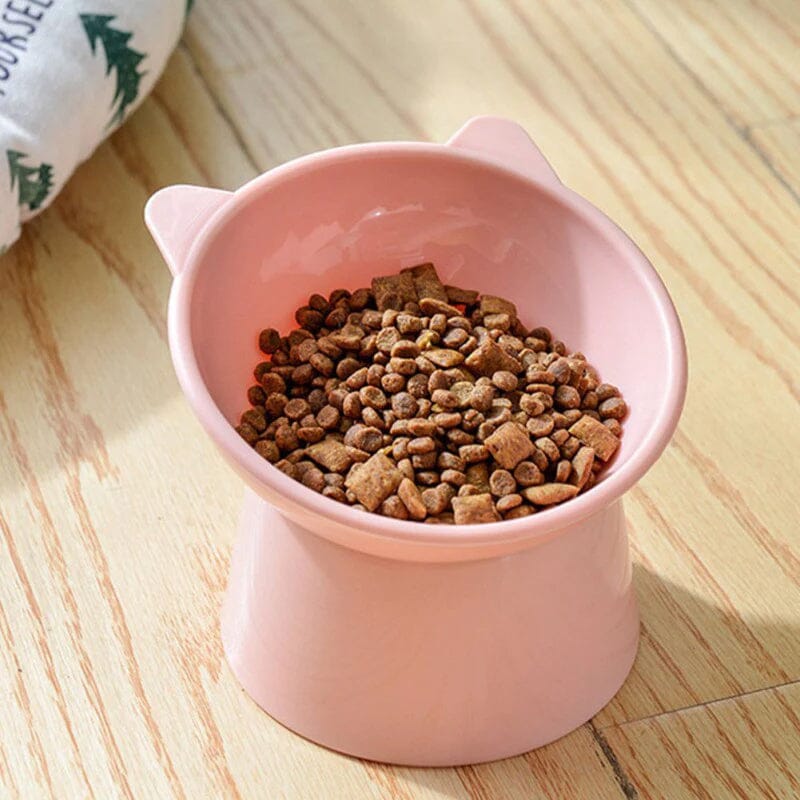 Ergonomic Cat Bowl