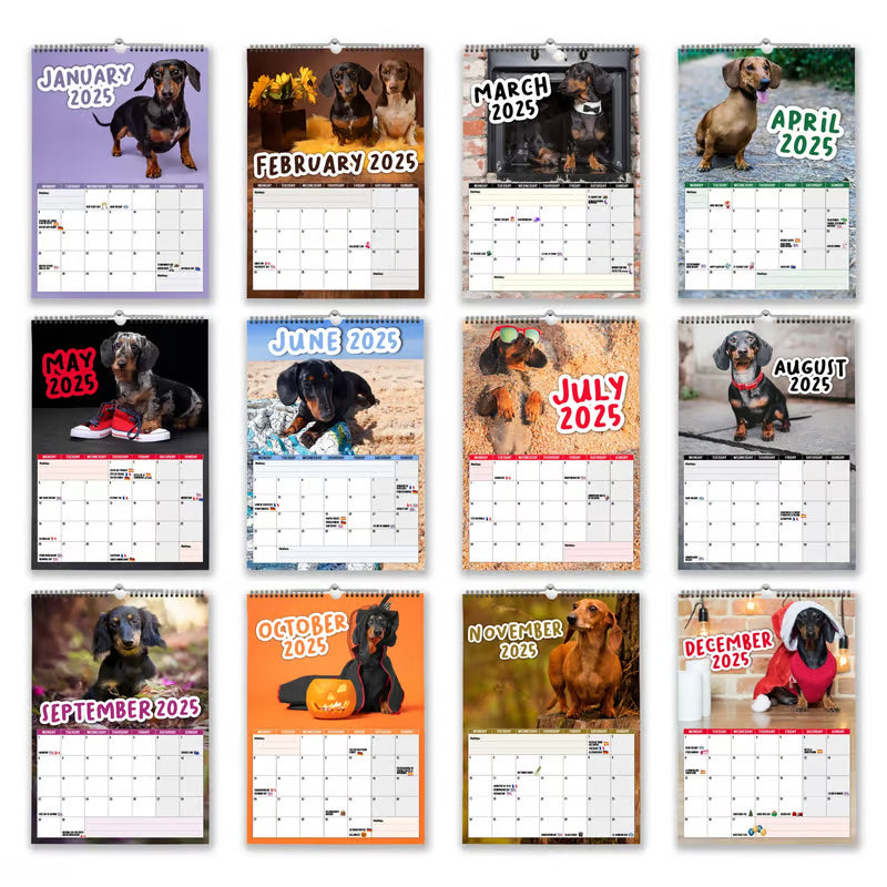 Cheeky Dachshunds - 2025 Wall Calendar