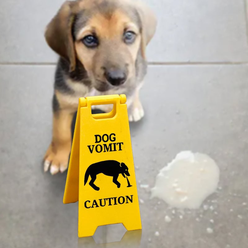 Caution Wet Floor Sign