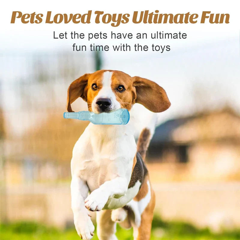 Pet Play Bottle Toy